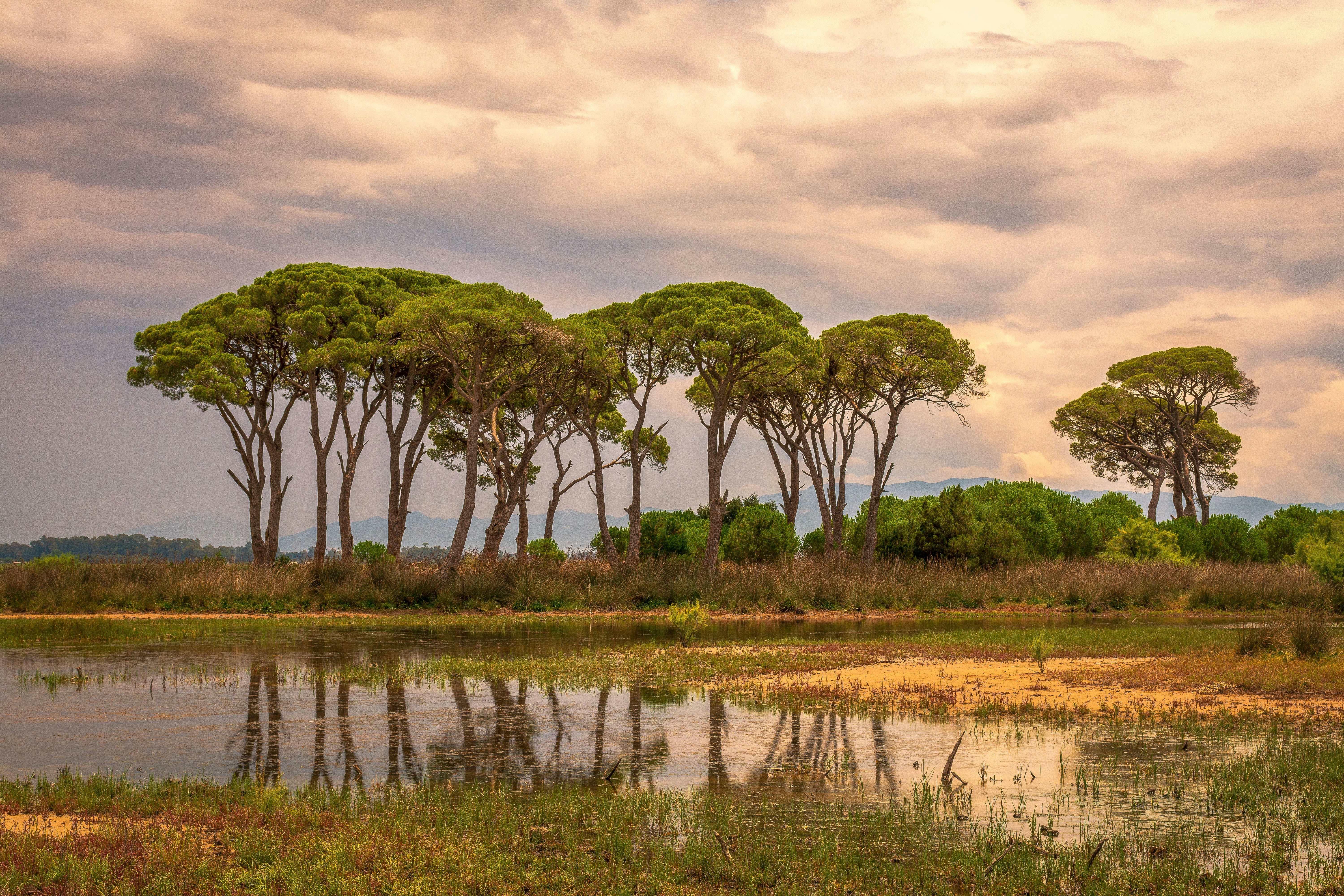 Afrique 2